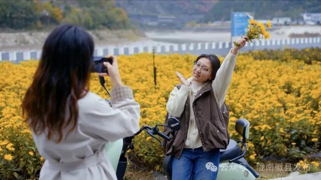 赴虞关之约：菊海鎏金处，爱在520大道