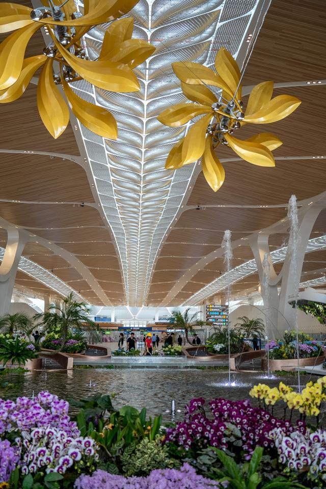 广州白云T3航站楼启用：全国最大单体机场诞生，岭南花城新地标