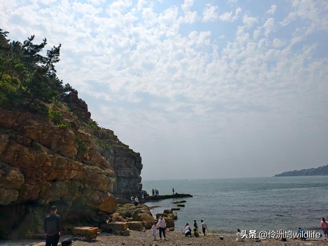 大连海之韵公园·棒槌岛