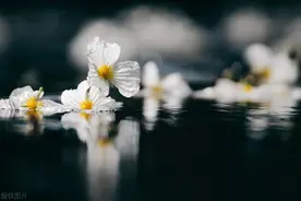 老公送妻子最实用的礼物是啥？图片