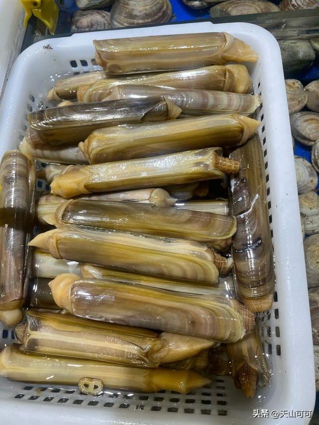 烧烤必买的10个海鲜， 快来看看！
