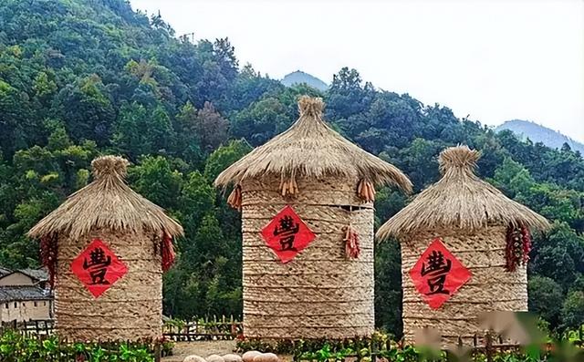 广西与贵州交界处的“菇类村”，女性衣着开放，以母系社会为主