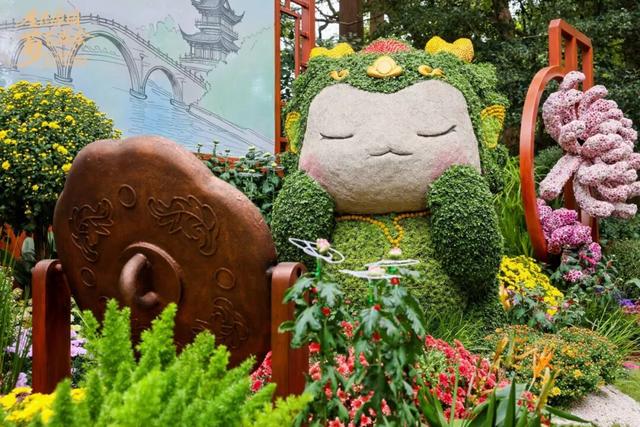 不愧是顶流！一大早就红了，人挤人持续好多天！萧山人家门口也有······