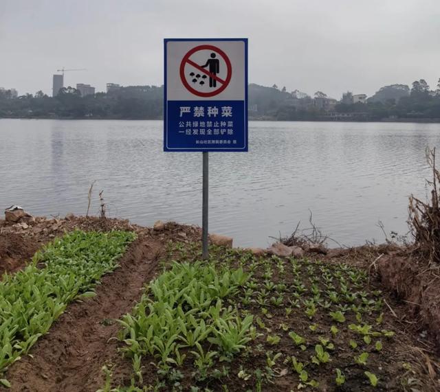 五象湖「最强景观」火了,公告成了废纸