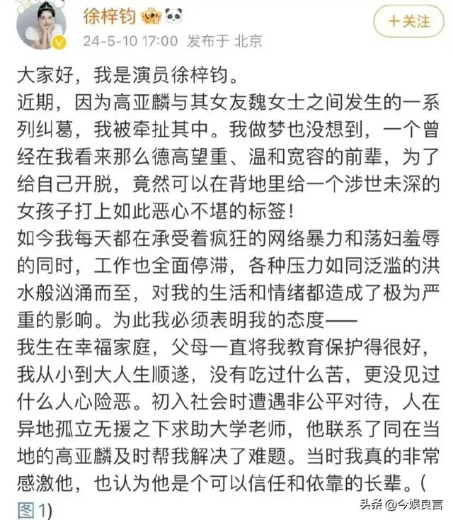 坏消息一个接一个！央视撕下体面后，法院又出手，高亚麟栽了！