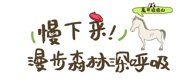 “我要离开浪浪山”，去黑水看更美的风景！