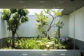 庭院天井景观怎么做？（47个款式给您做参考）图片