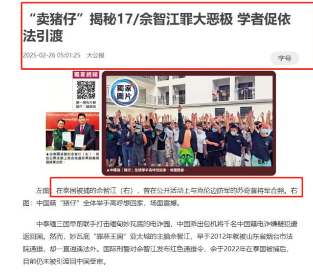 拔出萝卜带出泥！49岁赵薇近况被曝，原来圈内封杀只是冰山一角