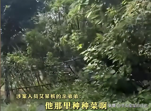 氢氟酸夺命后续：警情通报公布，家属撒谎事发非散步，到底谁之过
