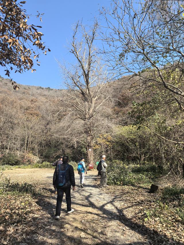 南京第二次到镇江武岐山空青山郊野徒步