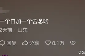 外国人要研究一辈子的中文梗！哈哈哈！评论区的网友笑不活了！图片
