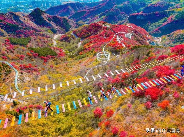 最佳赏红期已至——红叶柿岩开启“全红模式”！