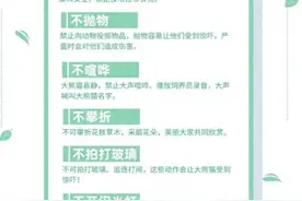 49岁男子向大熊猫投喂苹果。馆方禁止其终身再次进入熊猫基地图片