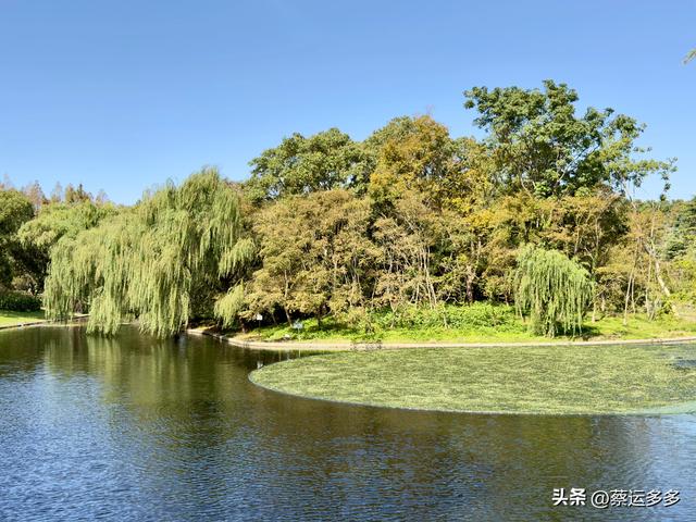 重阳节，上海赏秋之美