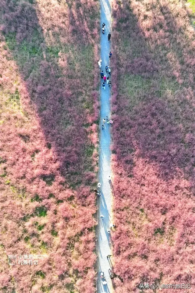 西安这处免费的世界遗产，藏着最治愈的秋色！自带滤镜，无敌出片
