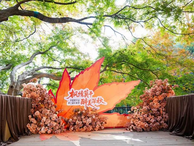 在红枫季，品味莫干山的绝代“枫”华