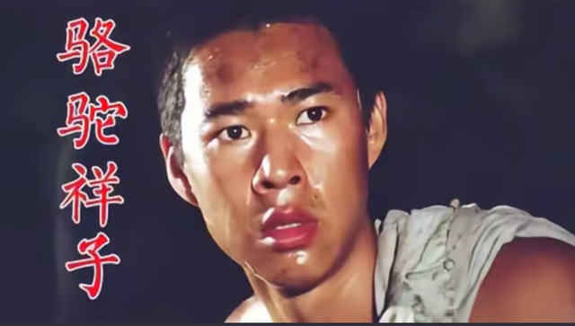 时隔47年，张丰毅和张铁林再次同框，一个帅成小伙，一个大腹便便