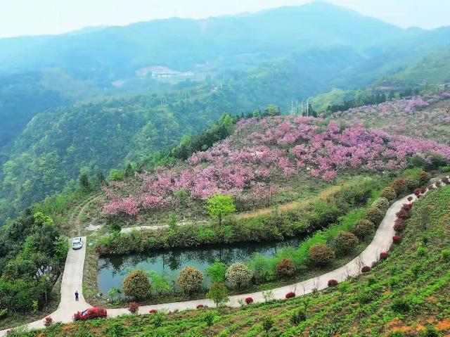 永州蓝山县一日游十大必去旅游景点