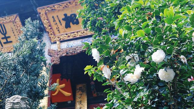 昆明一小时动车直达，700年元代古寺，滇南无双寺，西宗第一山