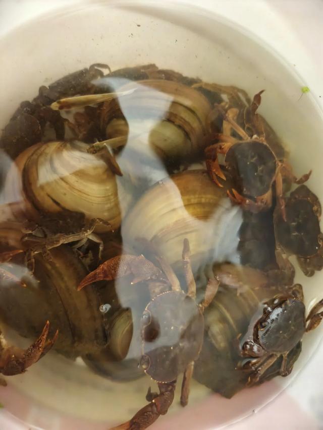 走进小溪潺潺的诗意世界