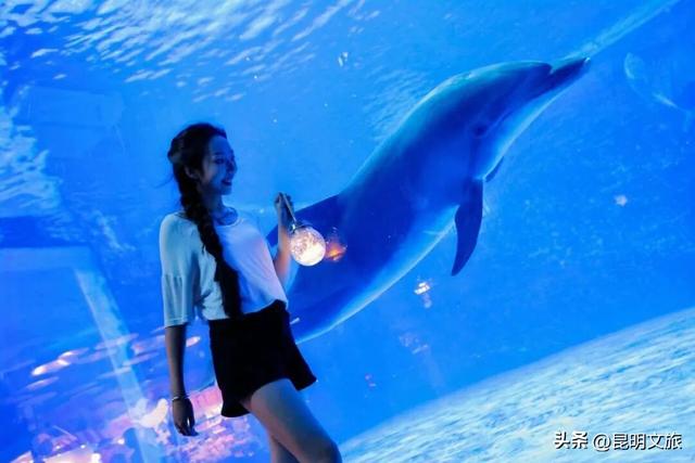 往返接驳+15分钟绿道直达赛点，给你的上合昆马开局加点“顺”~