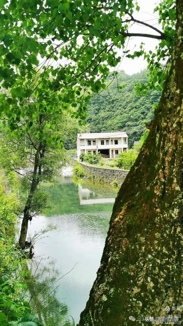 宁海最高峰下有座千年隋唐古寺，你可听说过？