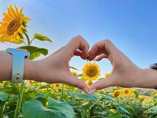 拿好这份初秋“寻色地图”，骑行解锁韶关的限定美景