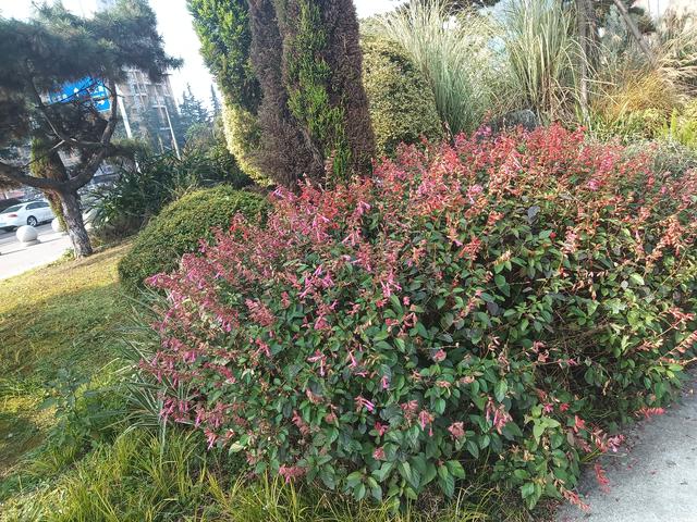 生肖猪：不出七天，将有一“远方故交”找上门 ，他是你家孩子的福