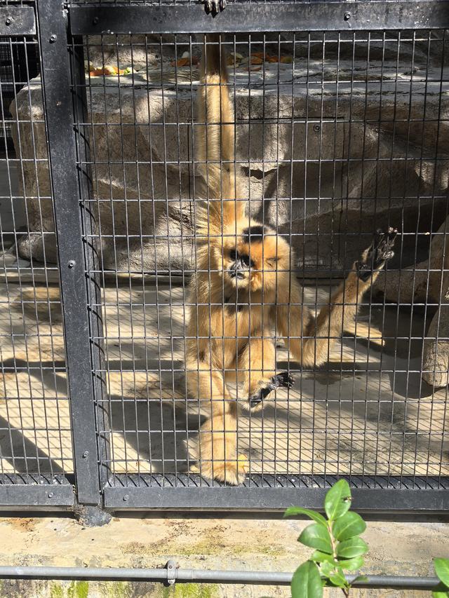 在香港只玩了两天
