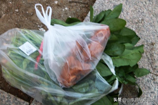 这一次外出闲游感慨颇多