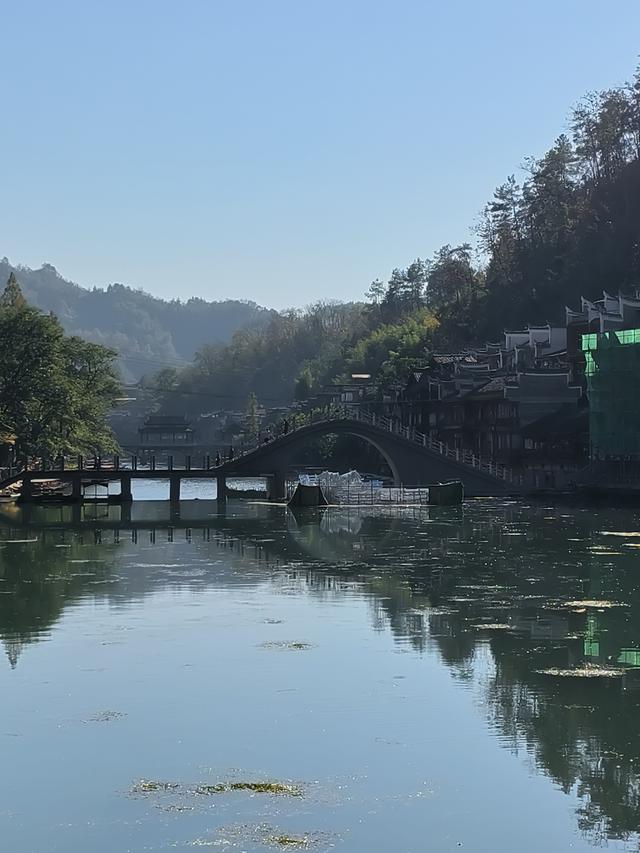 又见凤凰 美兮凤凰