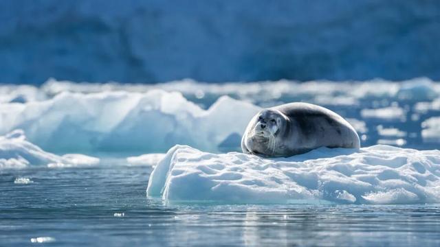 2026.7.7集结！穿越北极三岛、北欧两国，37天深入地球最北端！