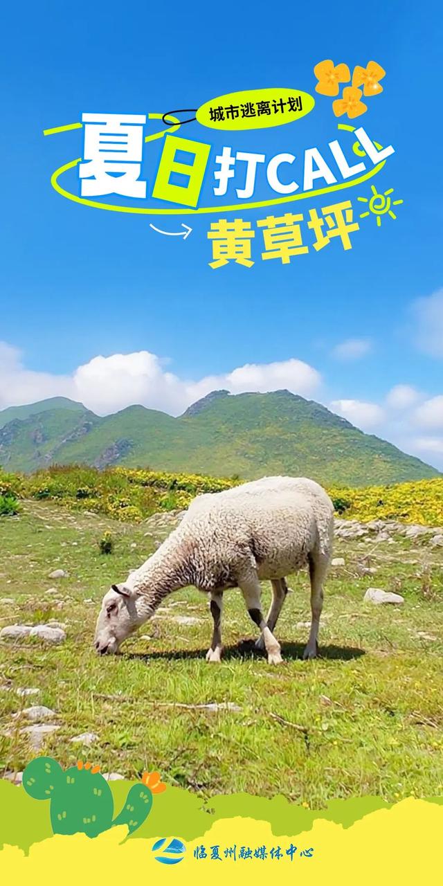 海报｜夏日，奔赴那片黄草坪