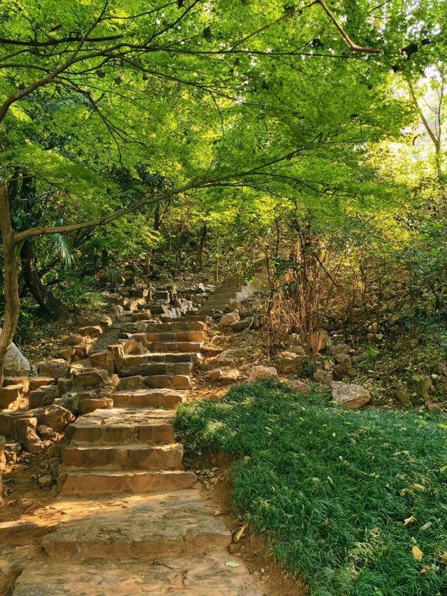 逛起来！8小时10个公园！