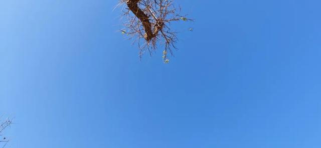 寻找长安石爷：为见第七尊石爷，在两个村遭遇惊险