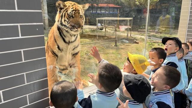 别卷作业了，卷卷大自然！韶关秋日研学，让娃成为朋友圈最酷的崽