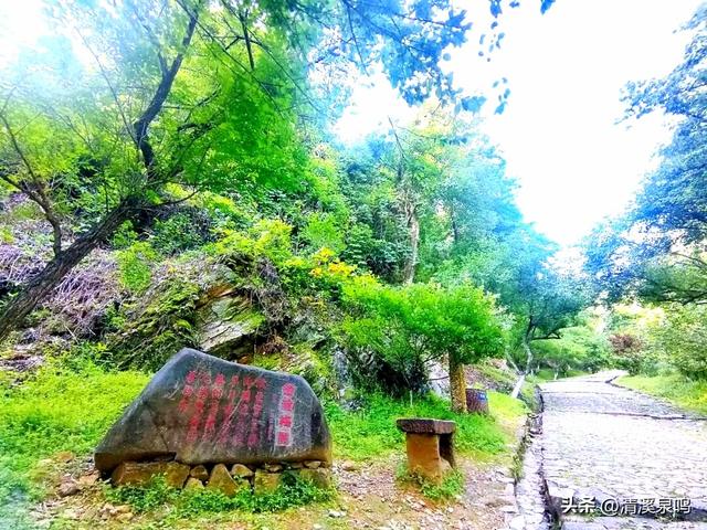 千年风雨中的文明通途——梅关古道
