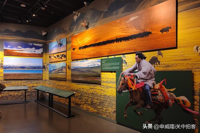 拉萨市：参观西藏自然科学博物馆