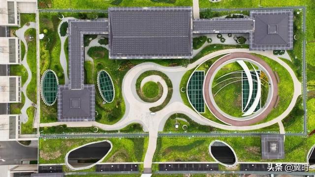 海外博主的雄安日记——绿色之城，生长在蓝绿之间