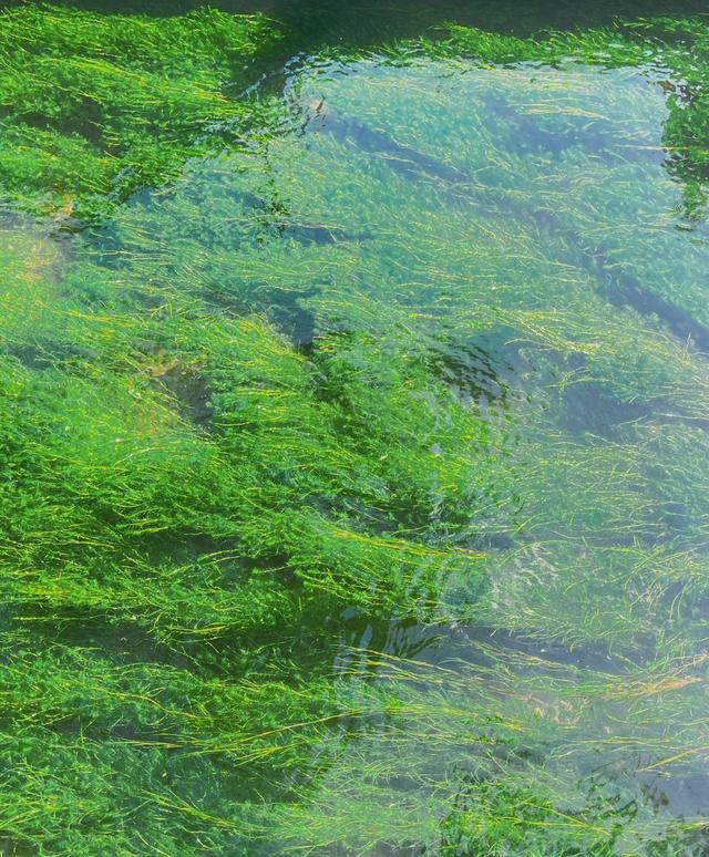 老友相伴赏清泉