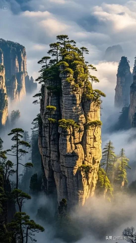 在云雾缭绕的奇幻之境，张家界悬浮山宛如超脱尘世的仙岛傲然矗立