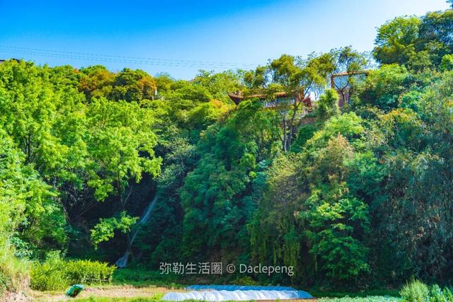 红河弥勒有个绝美瀑布营地，水流很壮观，旁边就是寺庙