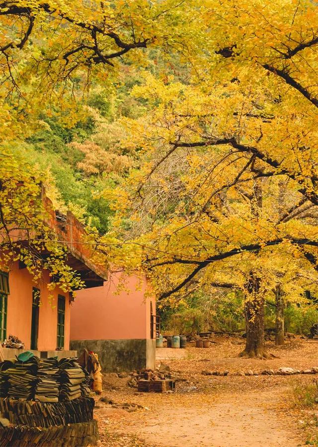 11月旅行地推荐！这13个赏秋地无对手，还藏着国内四大绝美秋色