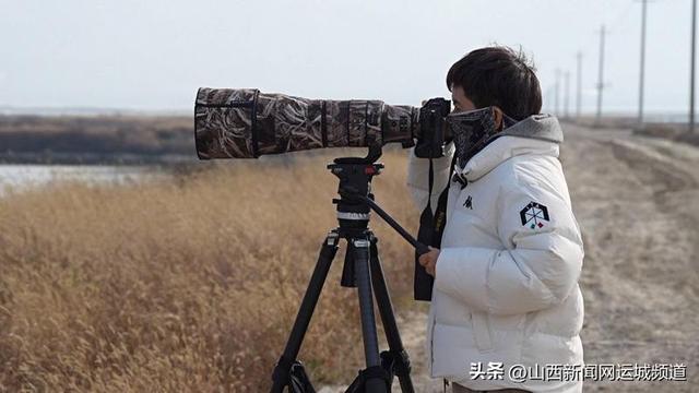 四只火烈鸟栖落盐湖 生态美景引八方摄友打卡