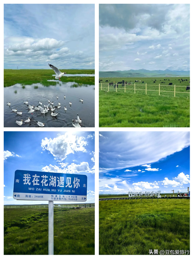 甘南慢行记——草原、寺庙与秘境，一场不走回头路的灵魂之旅