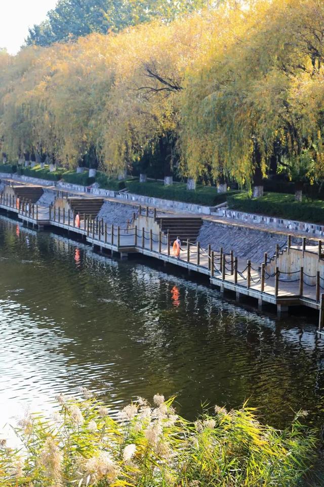 什么？日照这里有一群“小精灵”？！