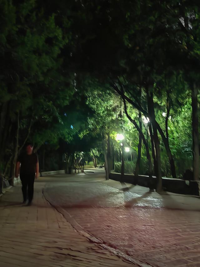 济南英雄山秋日夜景