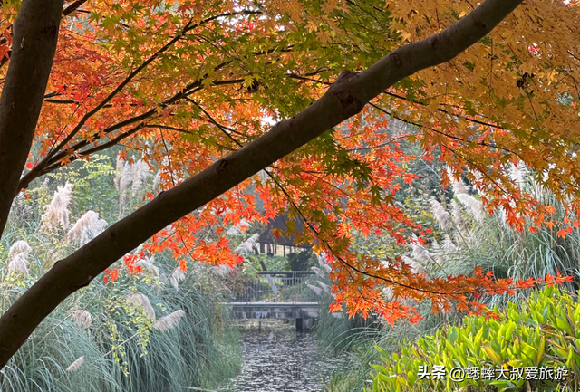 拥有王炸机位的浙江公园，其景“封神”，逛一圈，100％惬意！