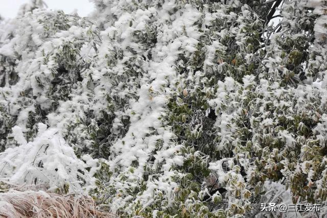 寒潮“炫技”成功！三江这地方浪漫值拉满