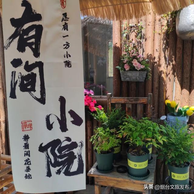 【乐游烟台】八月好去处｜烟台通往大海的木栈道，超赞！附汽水音乐派对交通攻略